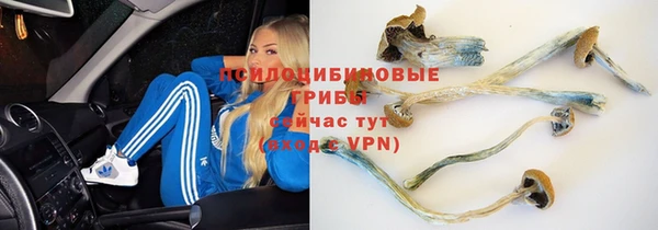 шишки Навашино
