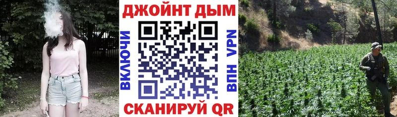 наркота  Рязань  Канабис семена 